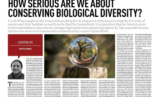 whatsapp-image-2021-05-21-at-10.07.37-pm